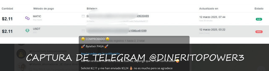 prueba de pago recibido en USDT de Bytelixir